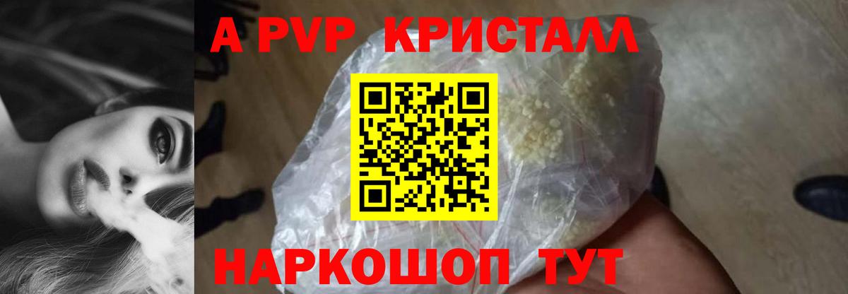 Альфа ПВП СК КРИС Нижний Новгород