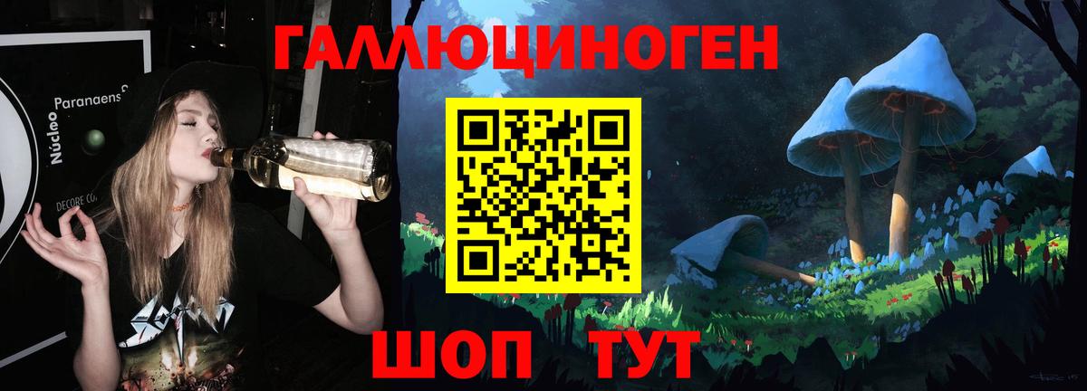 Нижний Новгород  Псилоцибиновые грибы прущие грибы  Вход с VPN 